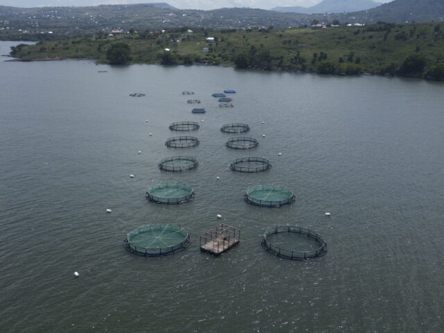 Aquaculture